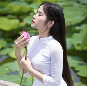 Album Hòa Tấu Nhạc Sống Organ Không Lời Trữ Tình Quê Hương 2019